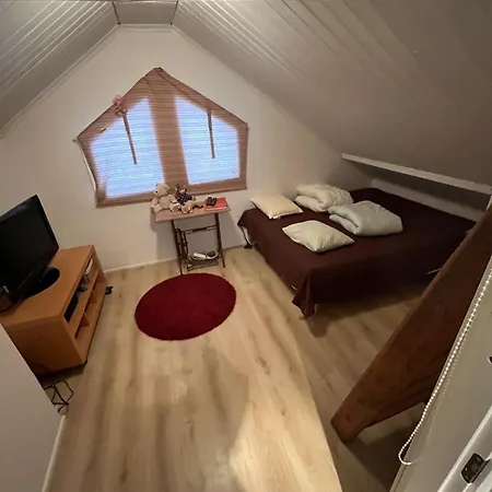 Miilu Hirsimoekki Jaerven Rannalla *