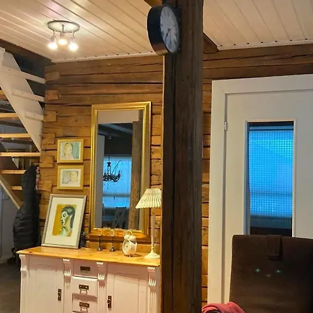 Miilu Hirsimoekki Jaerven Rannalla