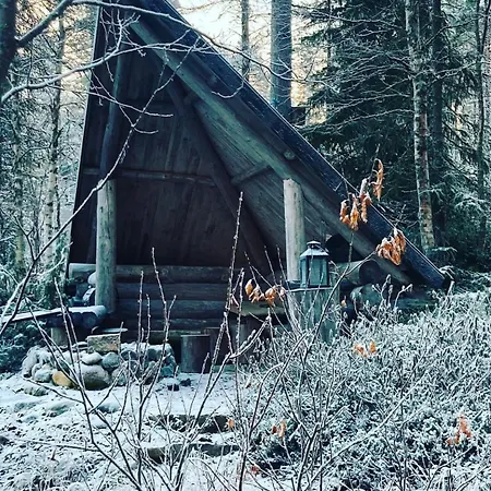 Villa Miilu Hirsimoekki Jaerven Rannalla *