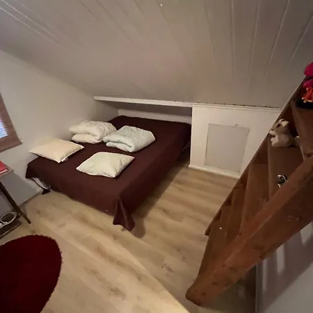 Miilu Hirsimoekki Jaerven Rannalla Villa Syöte