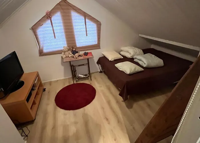 Miilu Hirsimoekki Jaerven Rannalla *