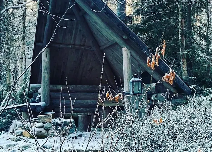 Βίλα Miilu Hirsimoekki Jaerven Rannalla *